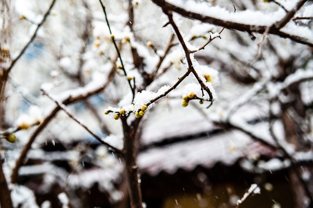 场控制权