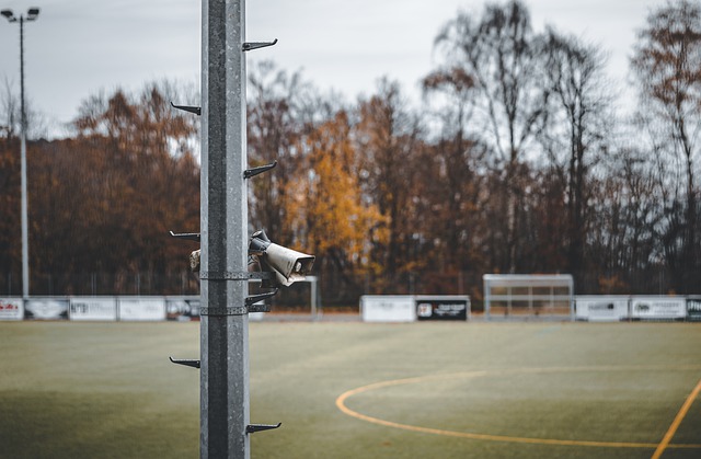 需要提高个 需要提高个