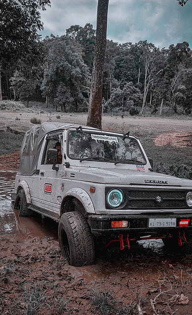 (体育)足球——意甲：国际米兰胜乌迪内斯.