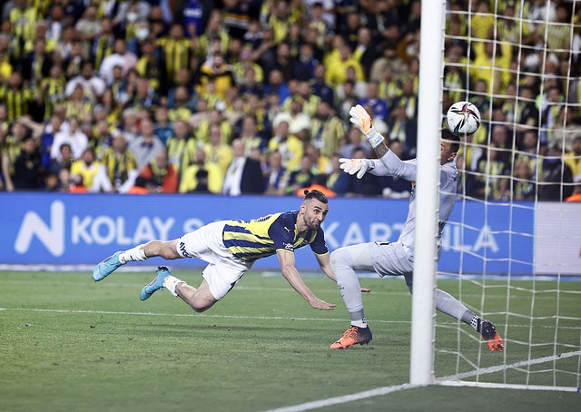 (体育)足球——意甲：国际米兰胜乌迪内斯.